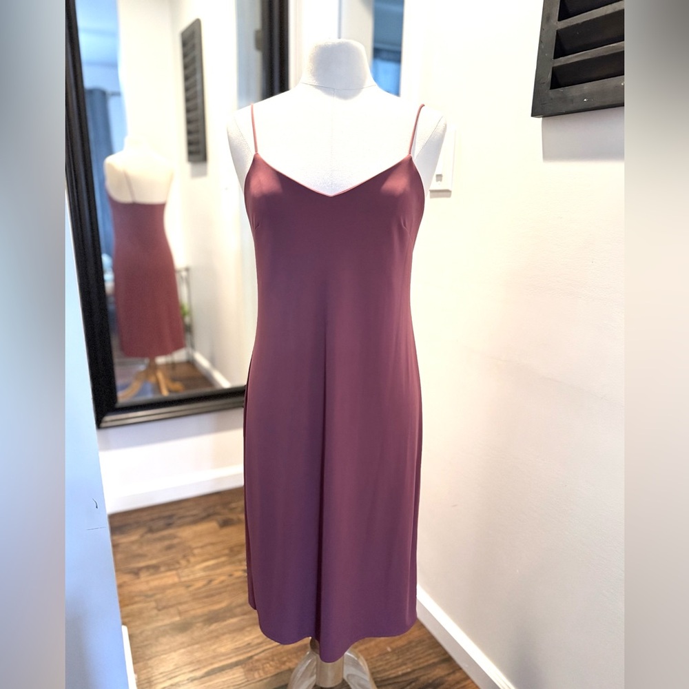 Express Dusty Rose Slip Dress
